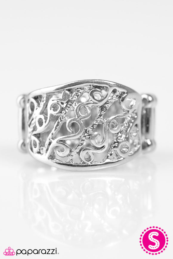 Vine and Dine - Silver Ring - Box 12