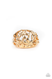 Haute Havana - Gold Ring - Box 8