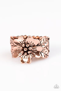 Rio Retreat - Copper Ring - Box 11