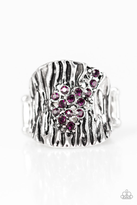 Tiger Stripes - Purple Ring - Box 6