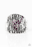 Tiger Stripes - Purple Ring - Box 6