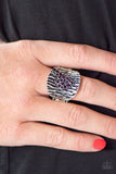 Tiger Stripes - Purple Ring - Box 6