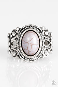 Coyote Canyon - Silver Ring - Box 13