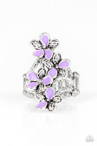 Climbing Gardens - Purple Ring - Box 6