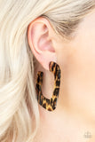 Cheetah Incognita - Brown Hoop Earring - LOP - 4/19