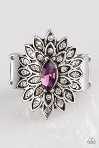 Blooming Fireworks - Purple Ring - Box 6