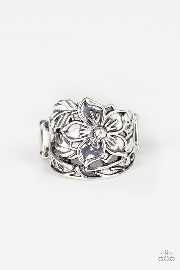 Hibiscus Highland - Silver Ring - Box 13