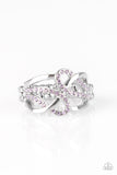 More Or flawless - Purple Ring - Box 6